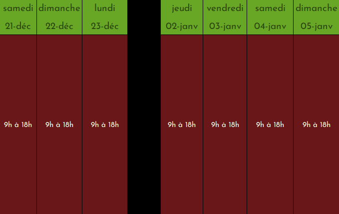 Emploi du temps des vacances de fin d'année ou vacances de Noël. Du samedi 21 octobre au lundi 23 décembre. Du jeudi 2 janvier au dimanche 5 janvier. En vert les plages horaires prises. En rouge les plages horaires disponibles.