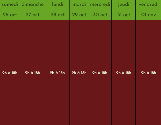 Emploi du temps des vacances d'automne ou vacances de la Toussaint. Du samedi 26 octobre au vendredi premier novembre. En vert les plages horaires prises. En rouge les plages horaires disponibles.