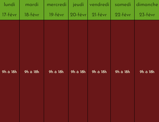 Emploi du temps des vacances d'hiver. Du lundi 17 février au dimanche 23 février.